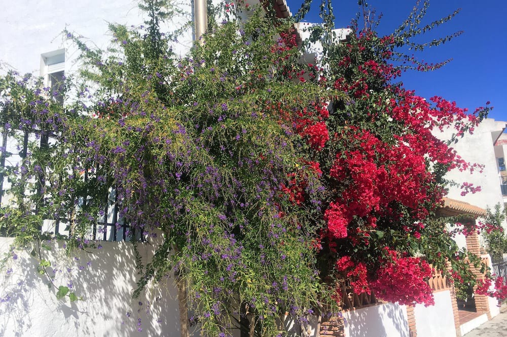 Photo of Outdoor in Conchar
