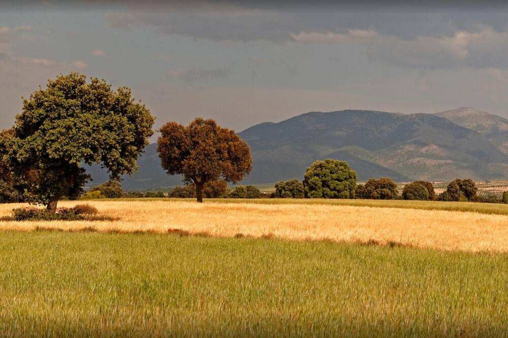 Photo of Outdoor in Gorafe