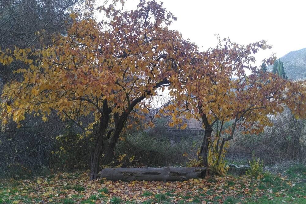Photo of Others in Pinos Genil
