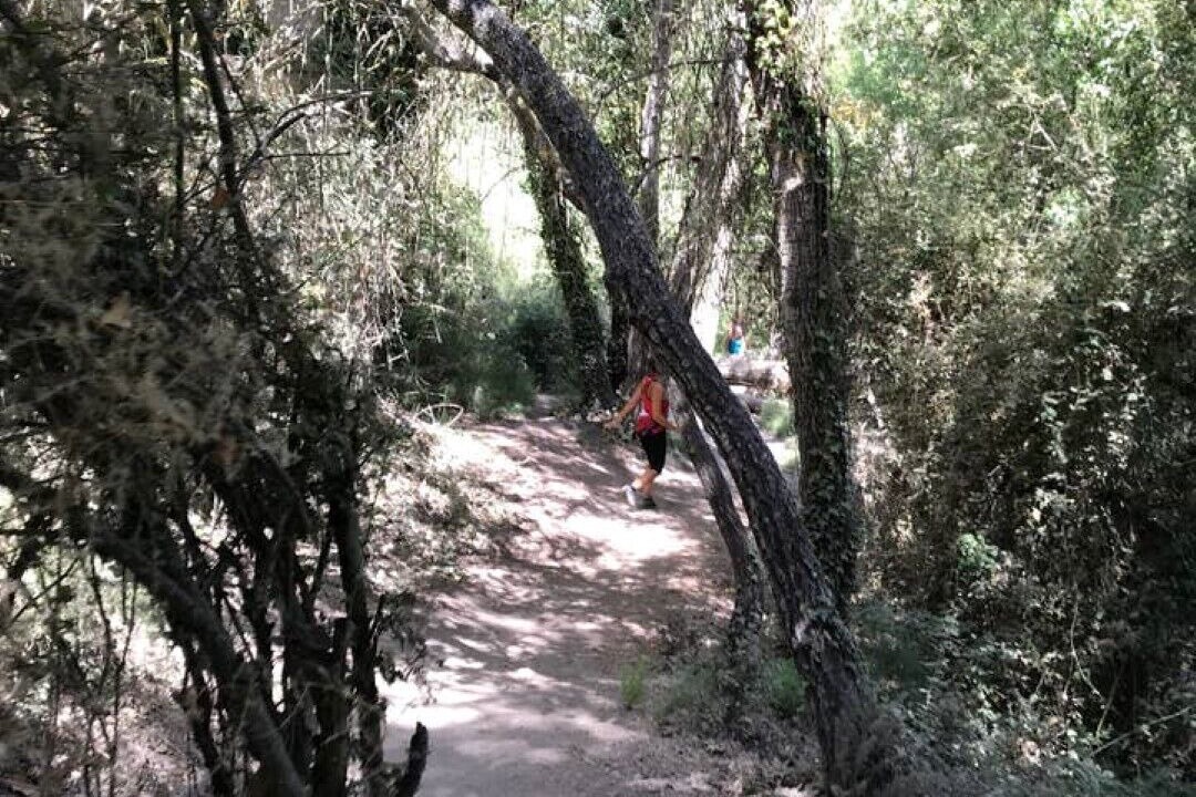Photo of Outdoor in Cenes de la Vega