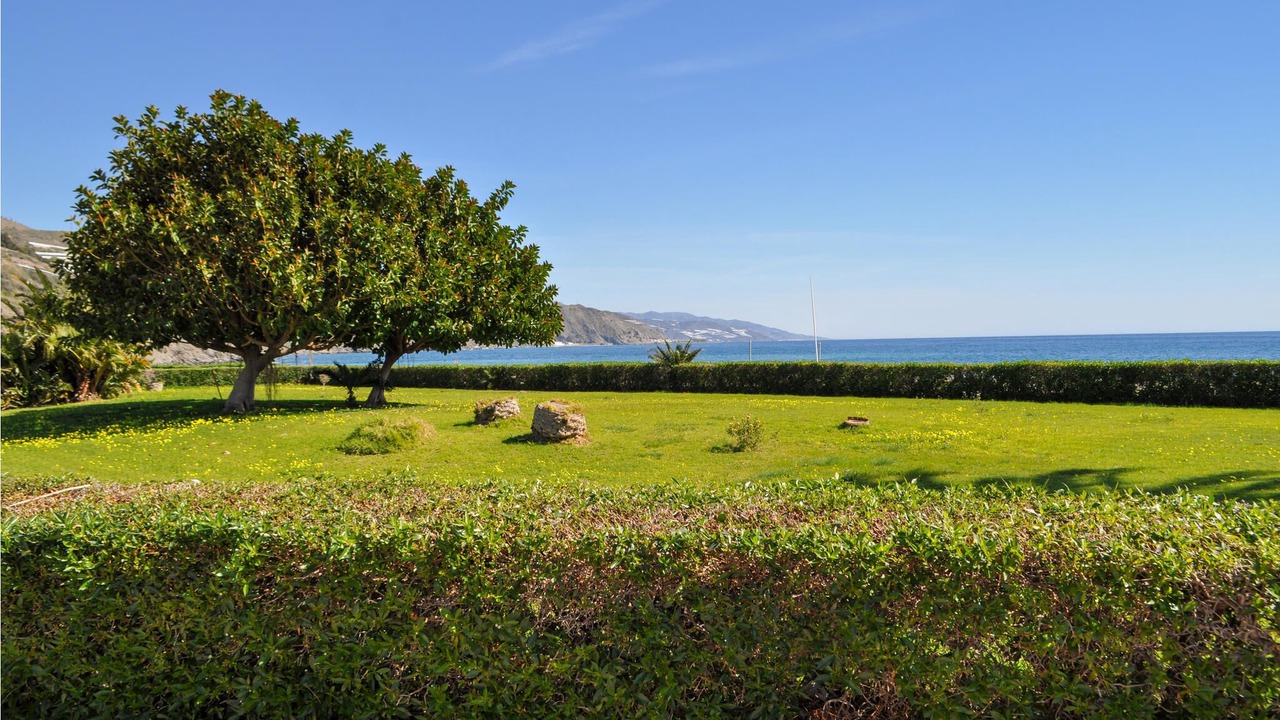 Photo of Others in Castell de Ferro