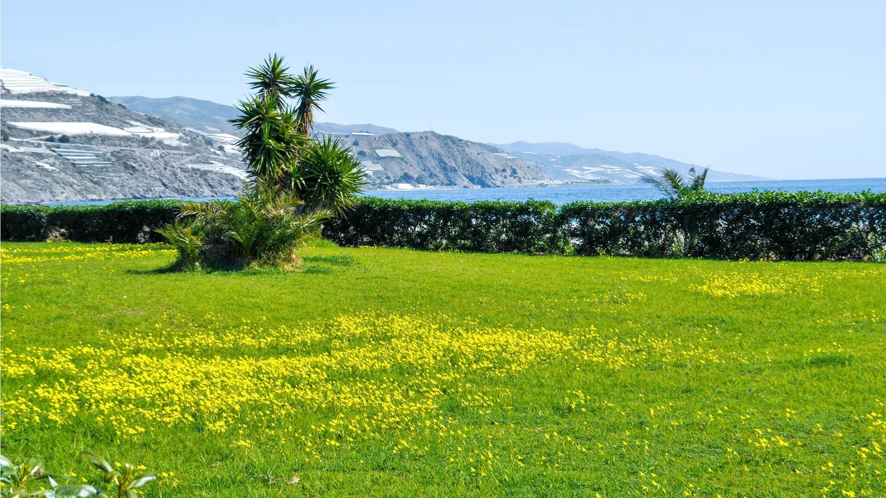 Photo of Outdoor in Castell de Ferro
