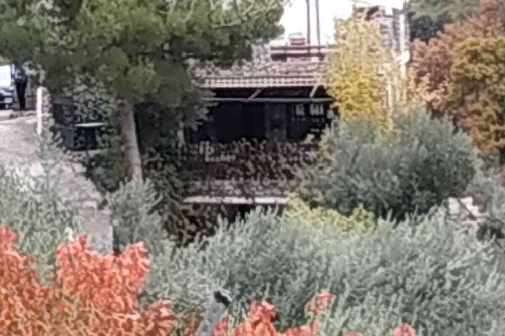 Photo of Outdoor in Guejar Sierra