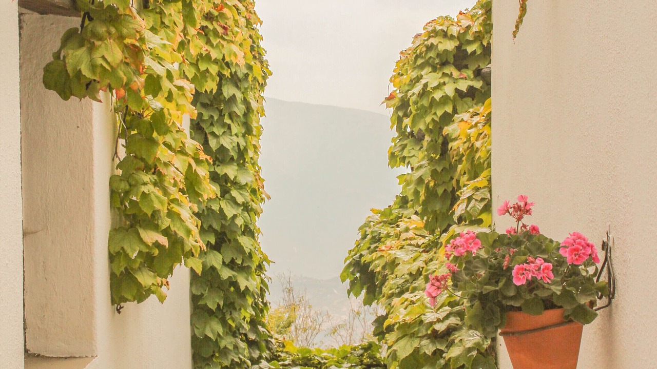 Photo of Outdoor in Capileira