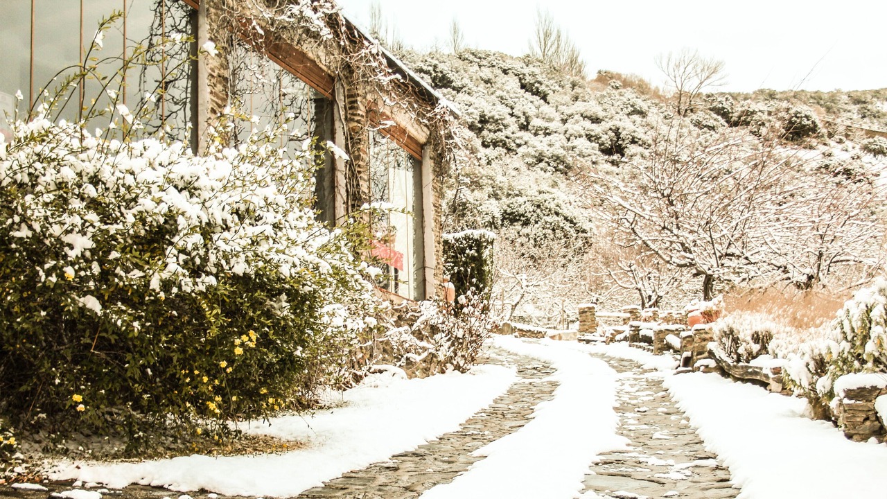 Photo of Outdoor in Capileira