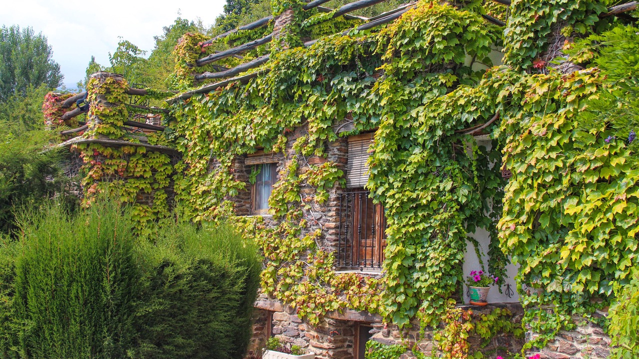 Photo of Outdoor in Capileira