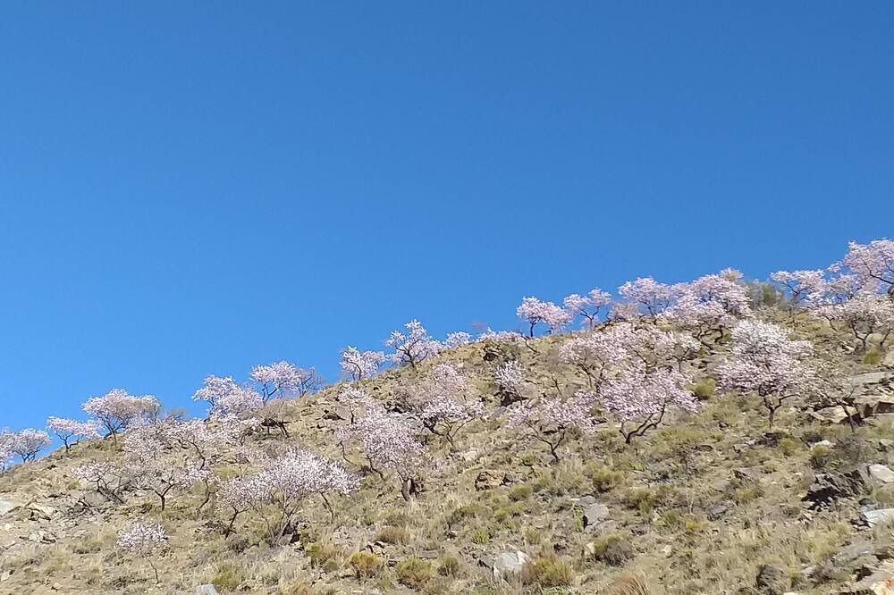 Photo of Others in Ugijar
