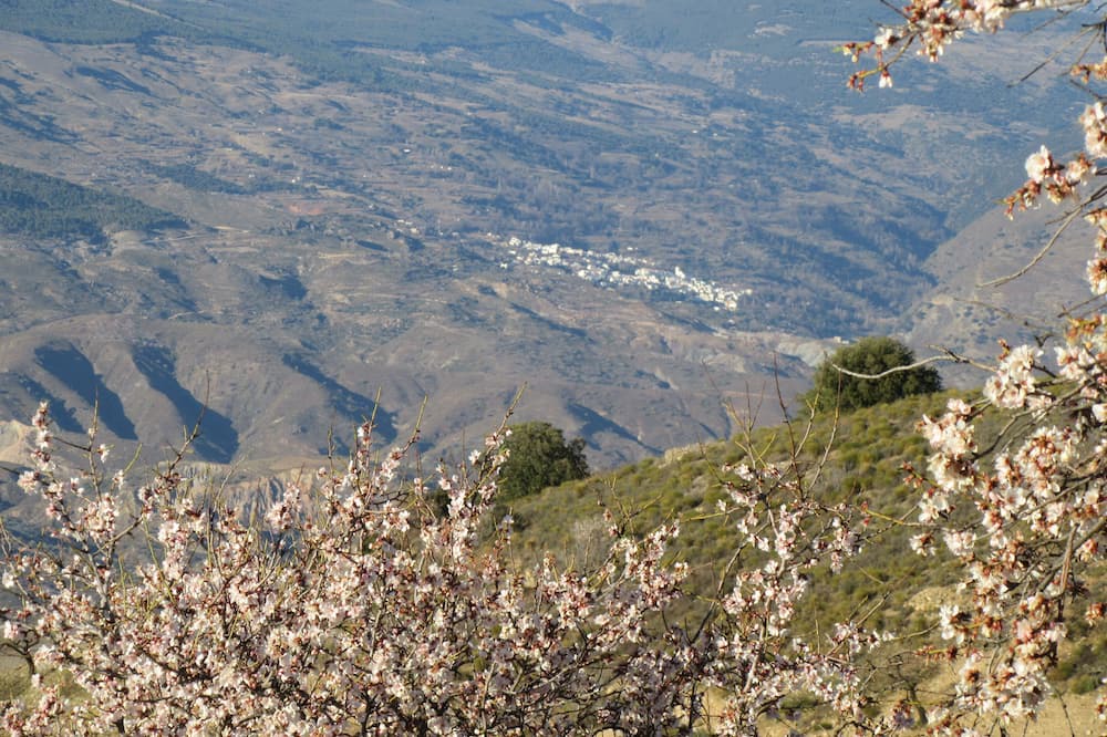 Photo of Others in Ugijar