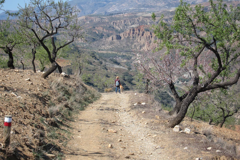 Photo of Others in Ugijar