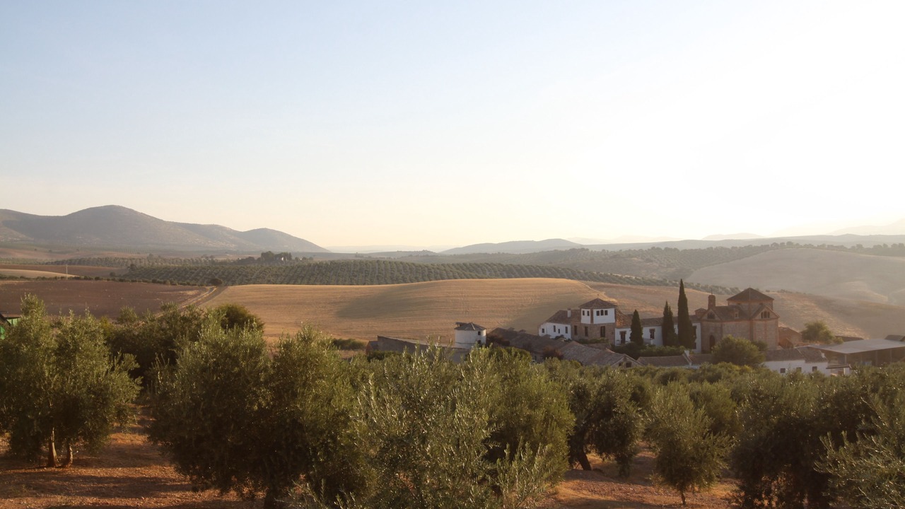 Photo of Outdoor in Albolote