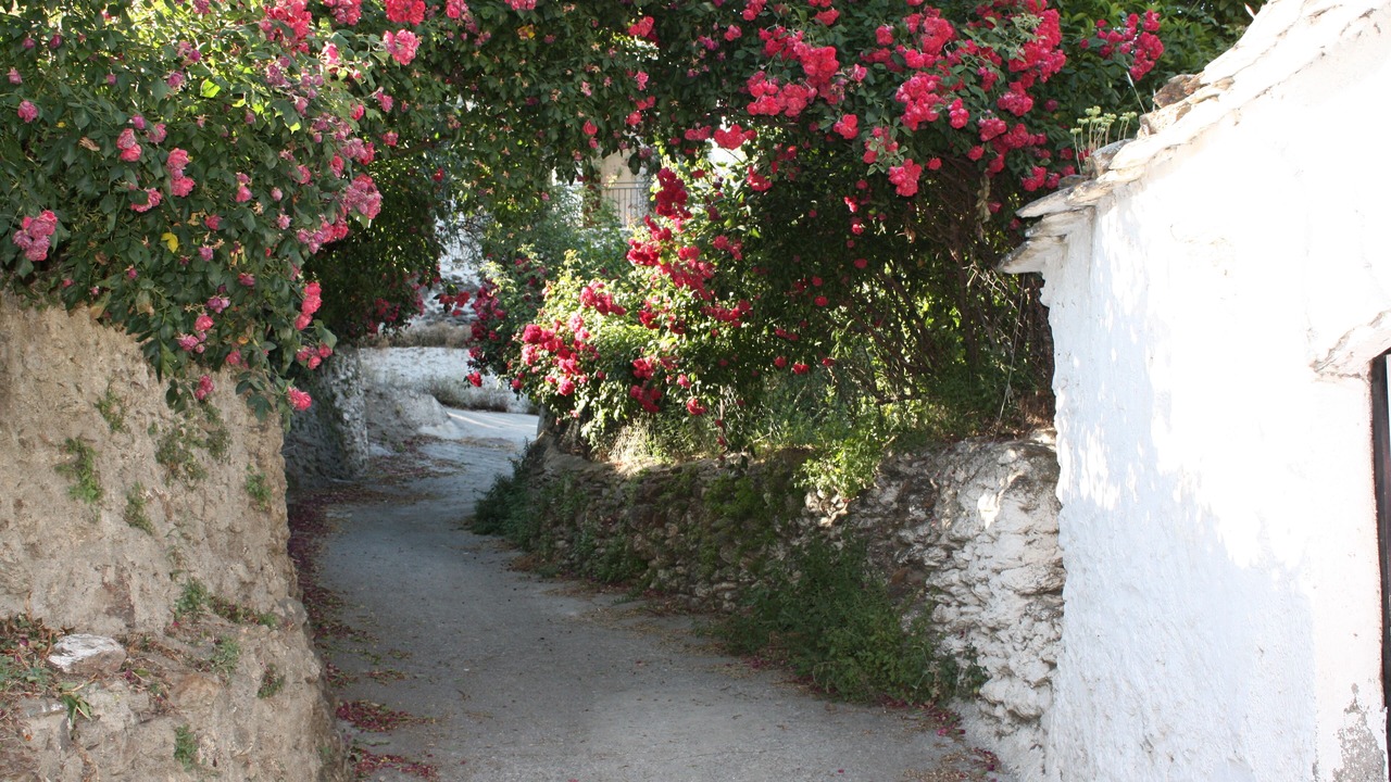 Photo of Outdoor in Pitres
