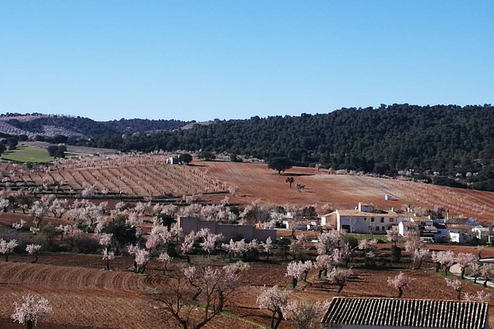 Photo of Outdoor in Cullar