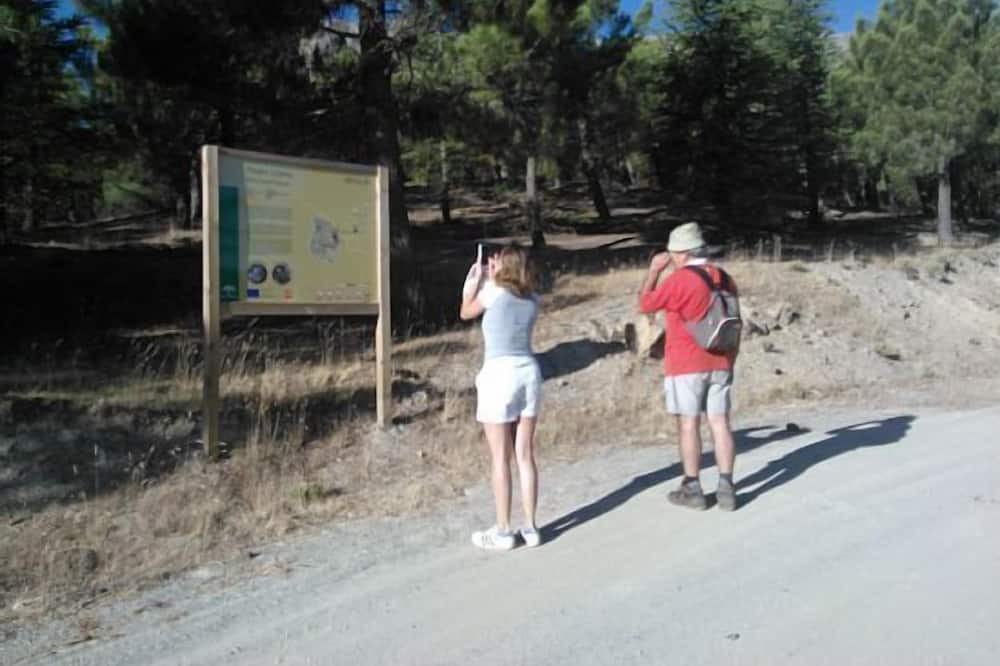 Photo of Others in Cullar
