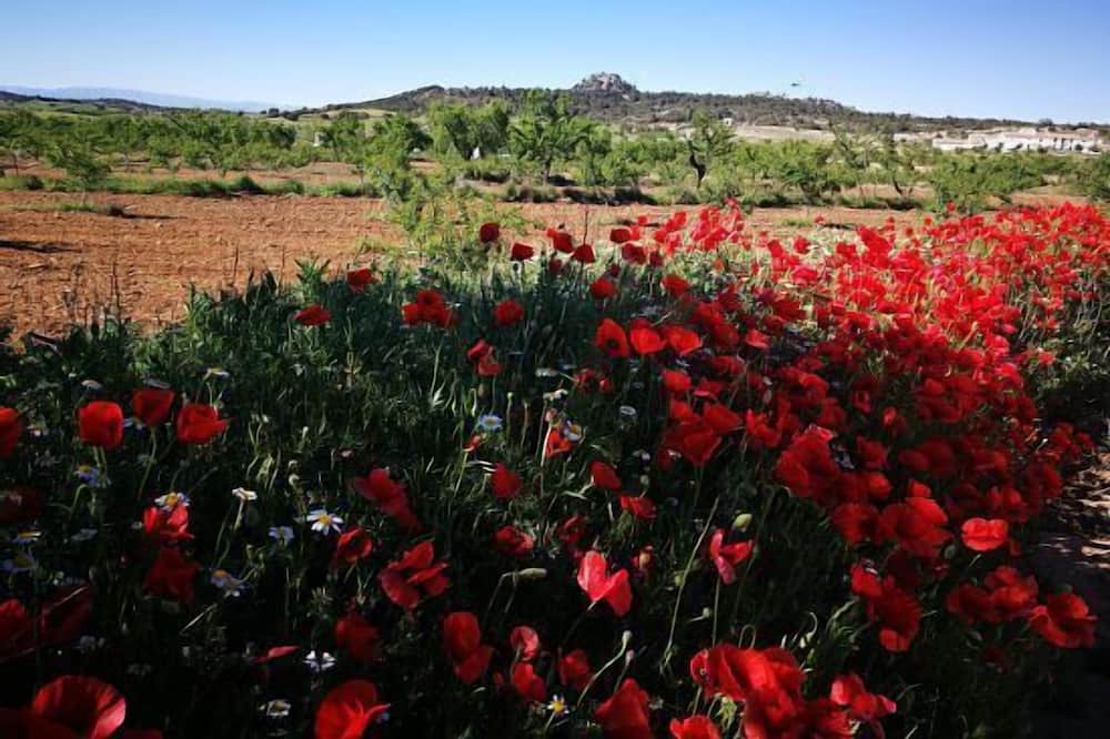 Photo of Outdoor in Cullar