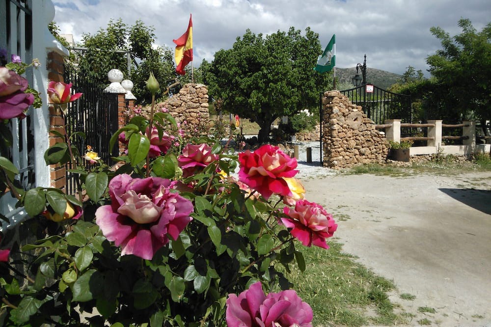 Photo of Outdoor in Cullar
