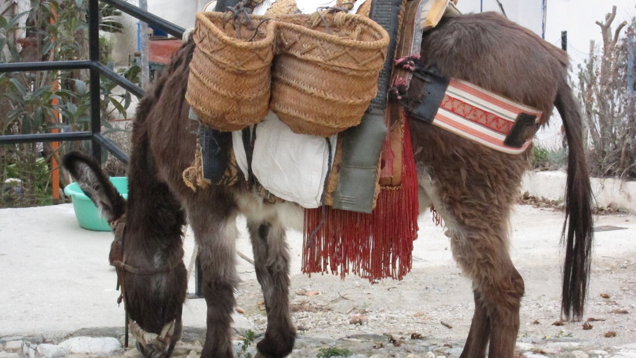 Photo of Outdoor in Ugijar