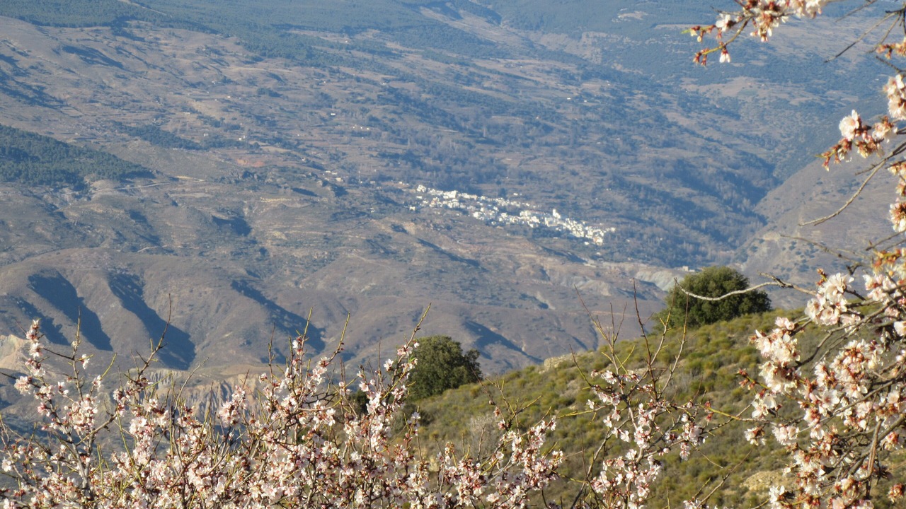 Photo of Outdoor in Ugijar