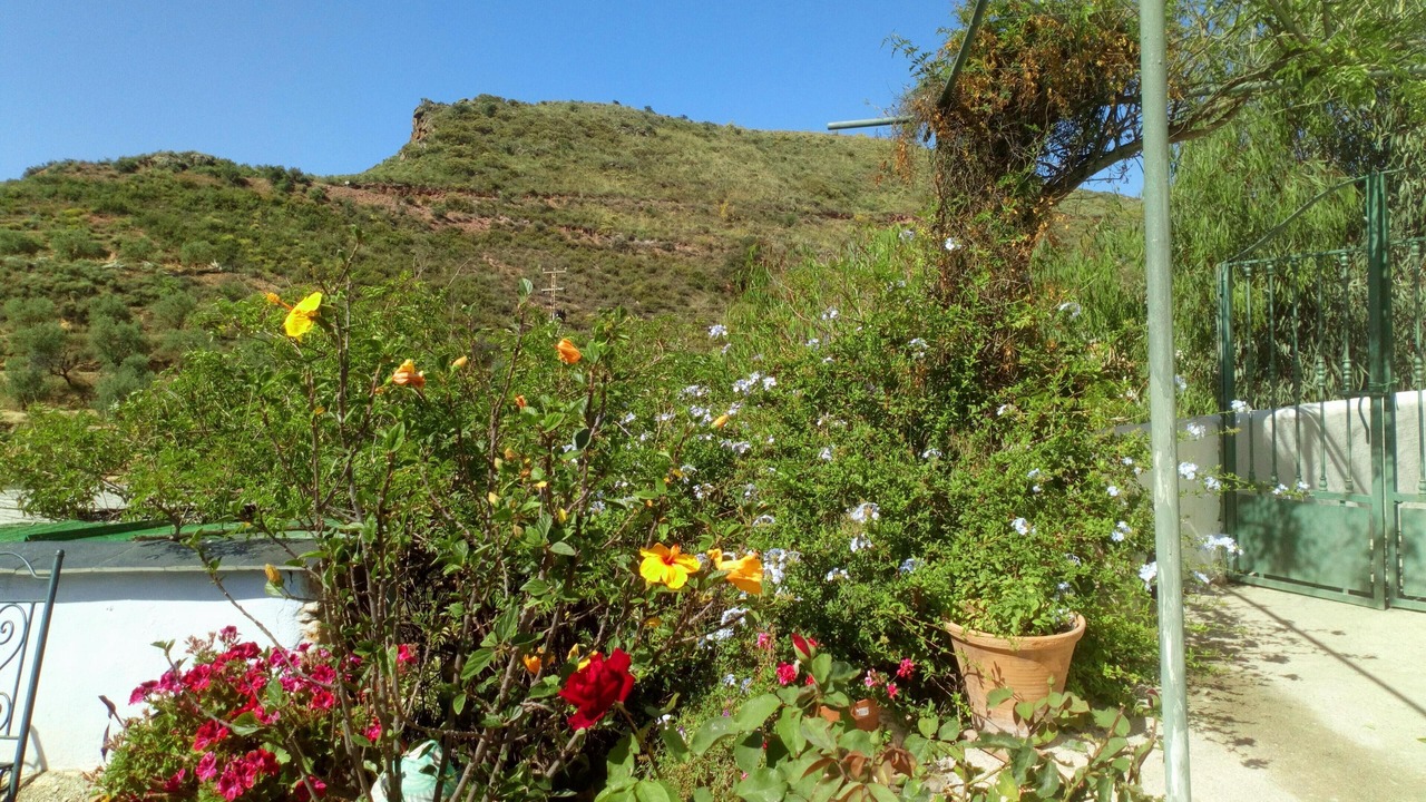 Photo of Outdoor in Ugijar