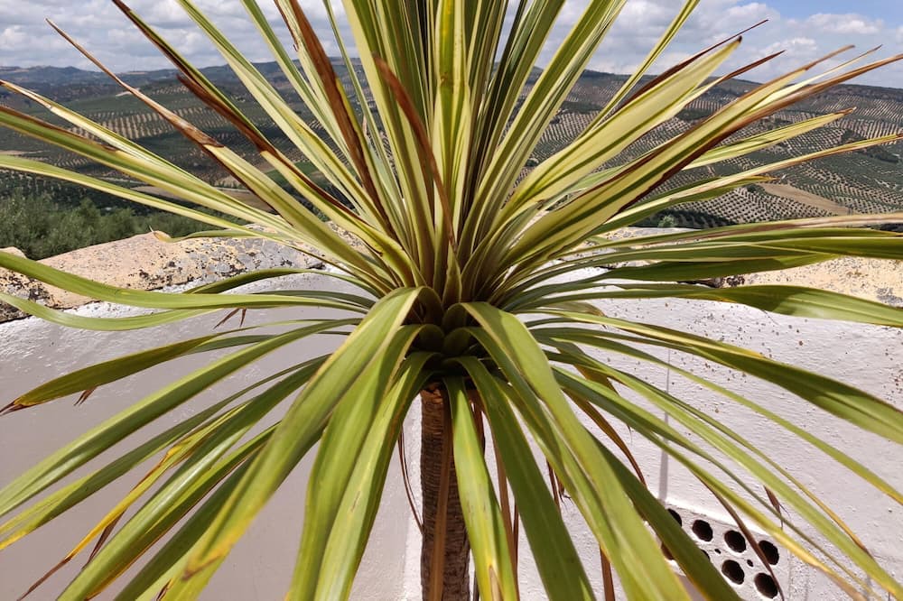 Photo of Outdoor in Moclin