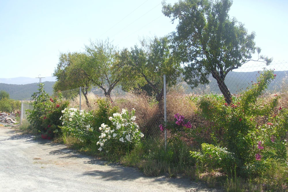 Photo of Outdoor in Cogollos de Guadix