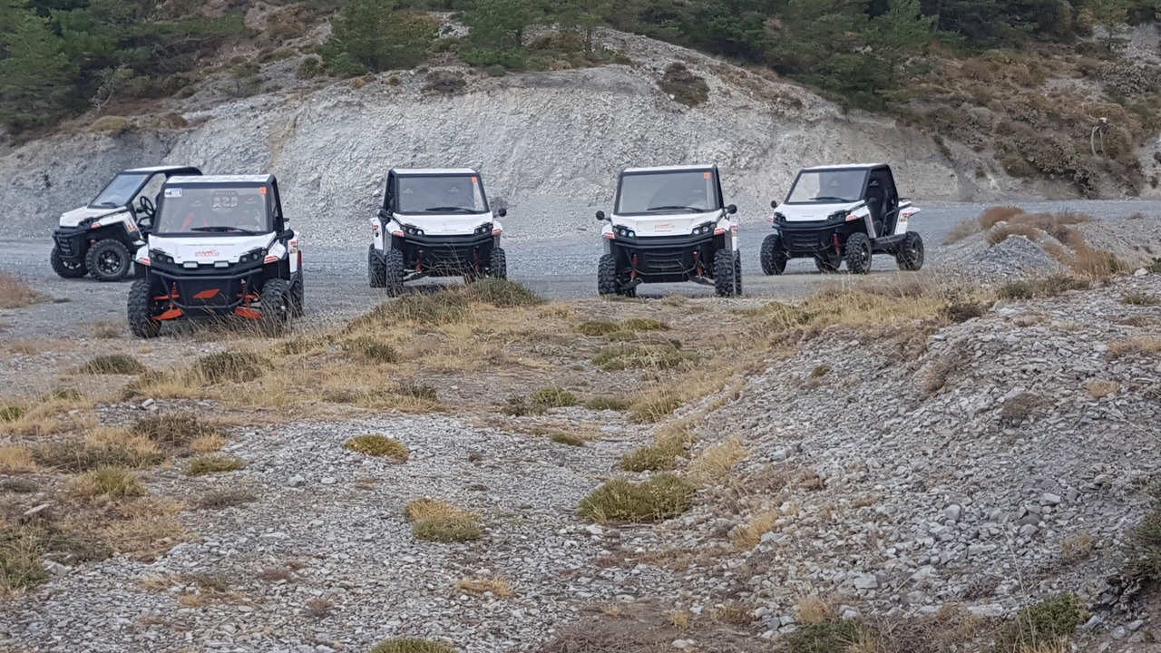 Photo of Others in Pinos del Valle