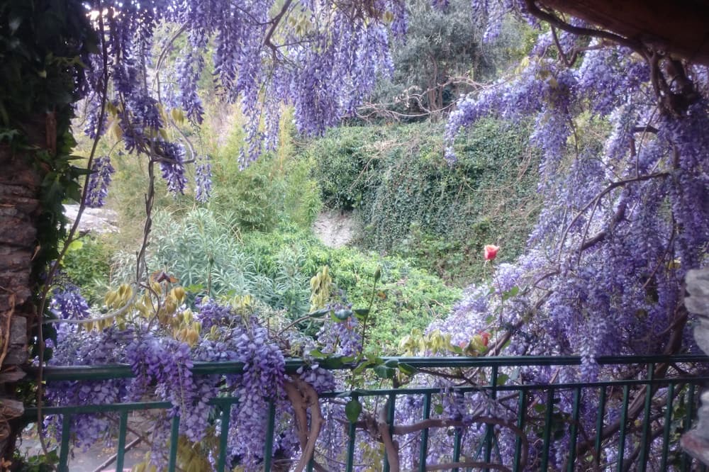 Photo of Outdoor in Pampaneira
