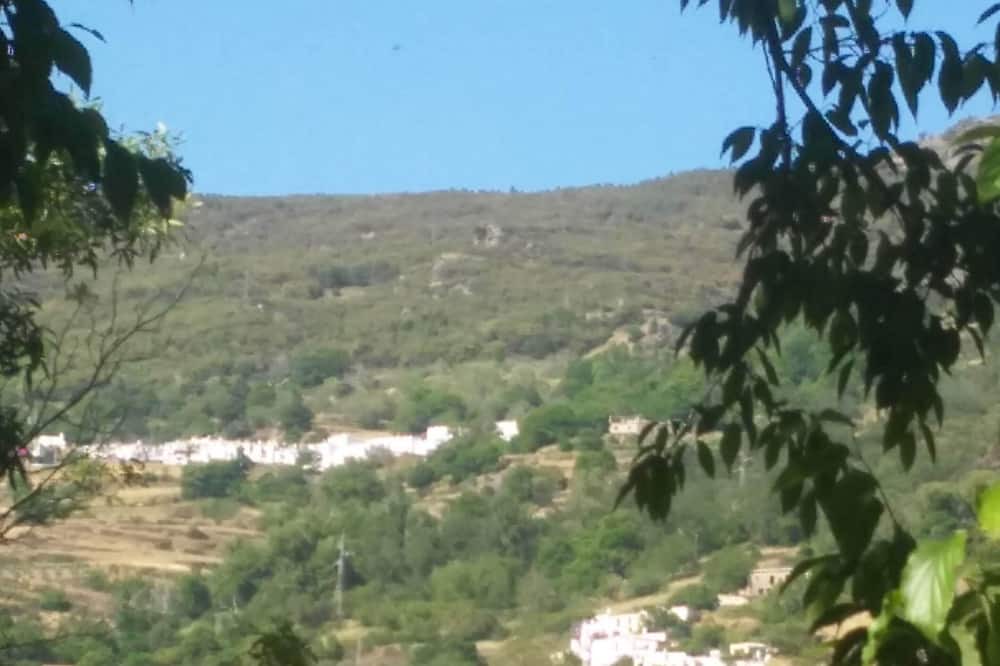 Photo of Outdoor in Pampaneira
