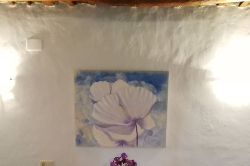 Photo of Kitchen in Pampaneira
