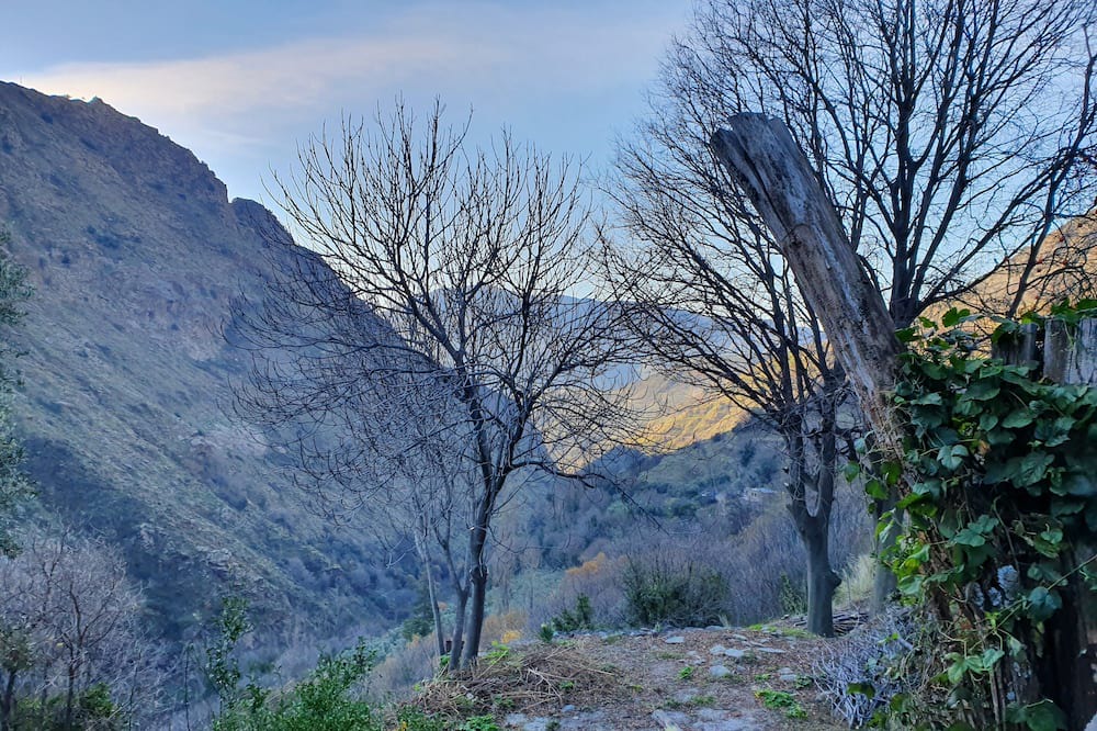 Photo of Outdoor in Pampaneira