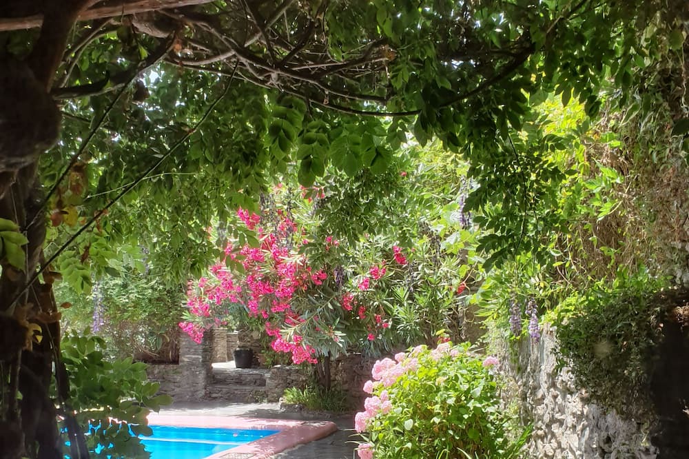 Photo of Outdoor in Pampaneira