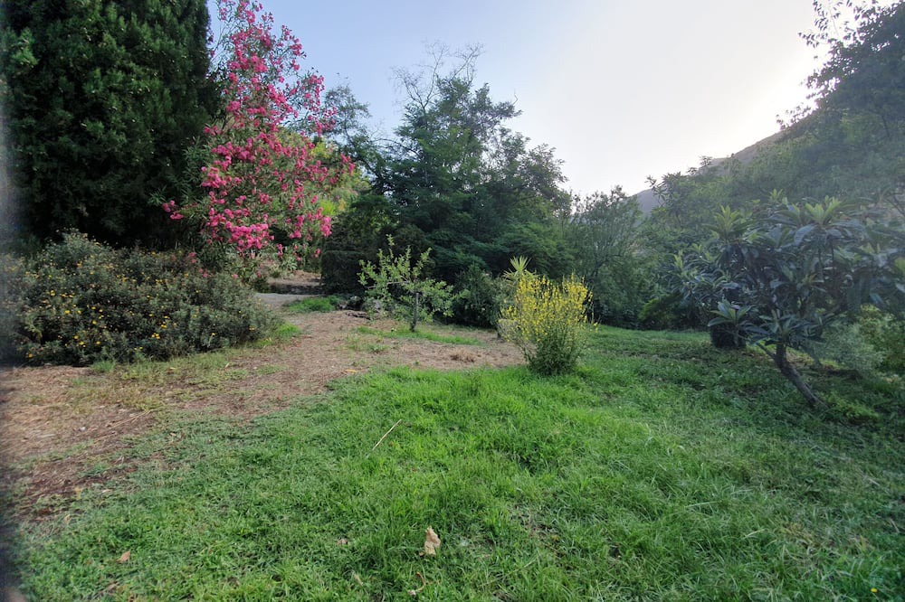 Photo of Outdoor in Pampaneira