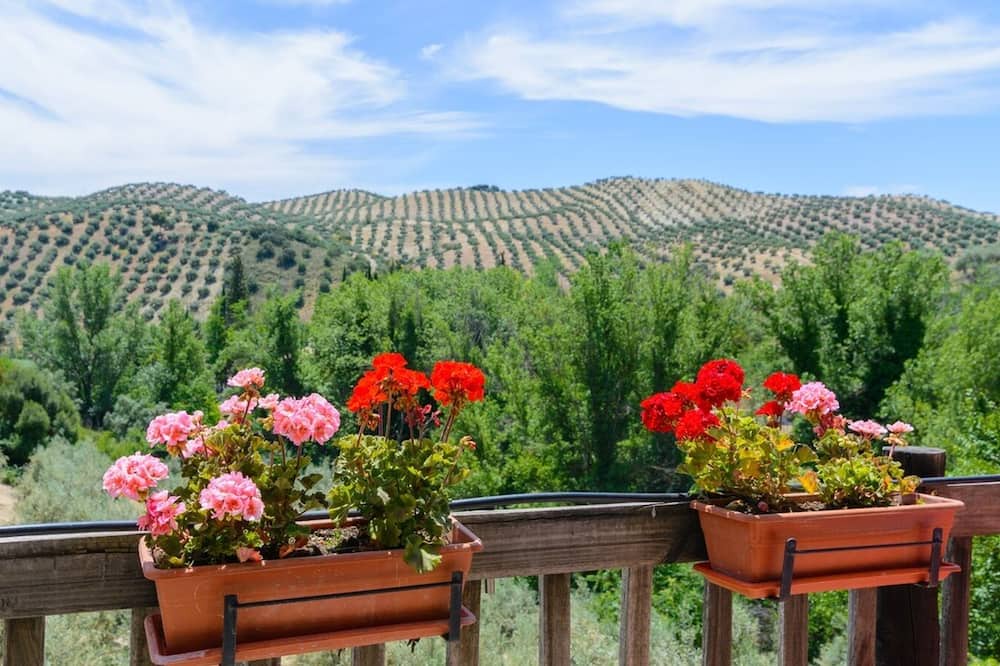 Photo of Patio Balcony in Algarinejo