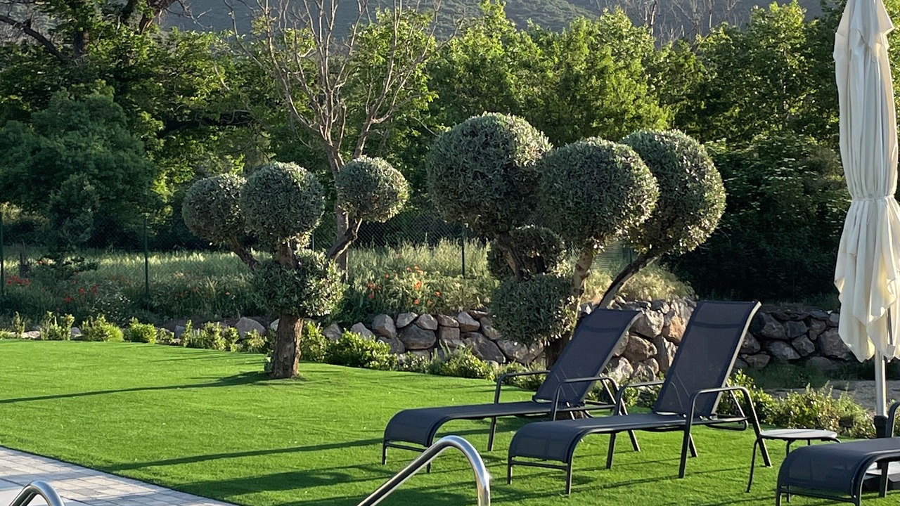 Photo of Outdoor in Hueneja