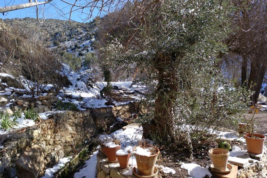 Photo of Outdoor in Puebla de Don Fadrique