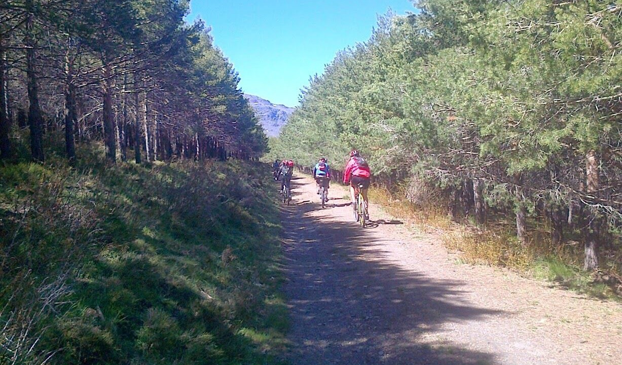 Photo of Others in Mairena