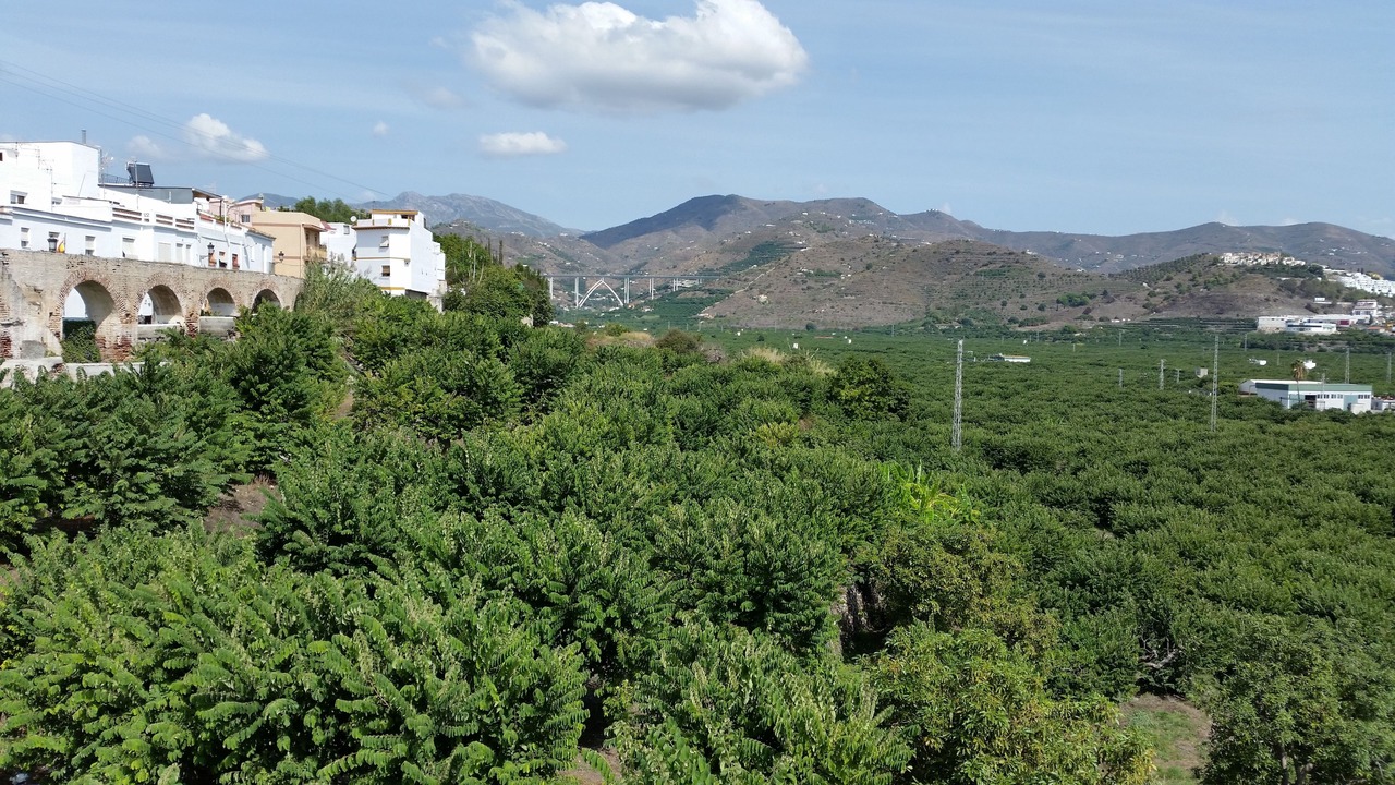 Photo of Outdoor in Almunecar