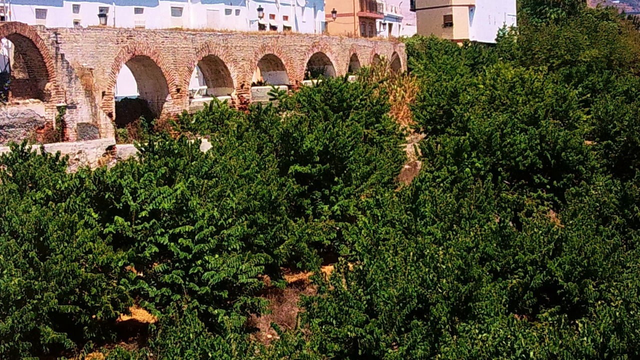 Photo of Others in Almunecar