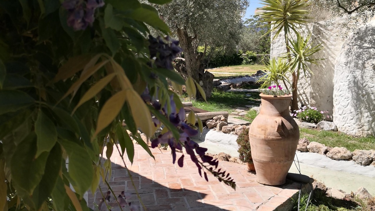 Photo of Outdoor in Niguelas