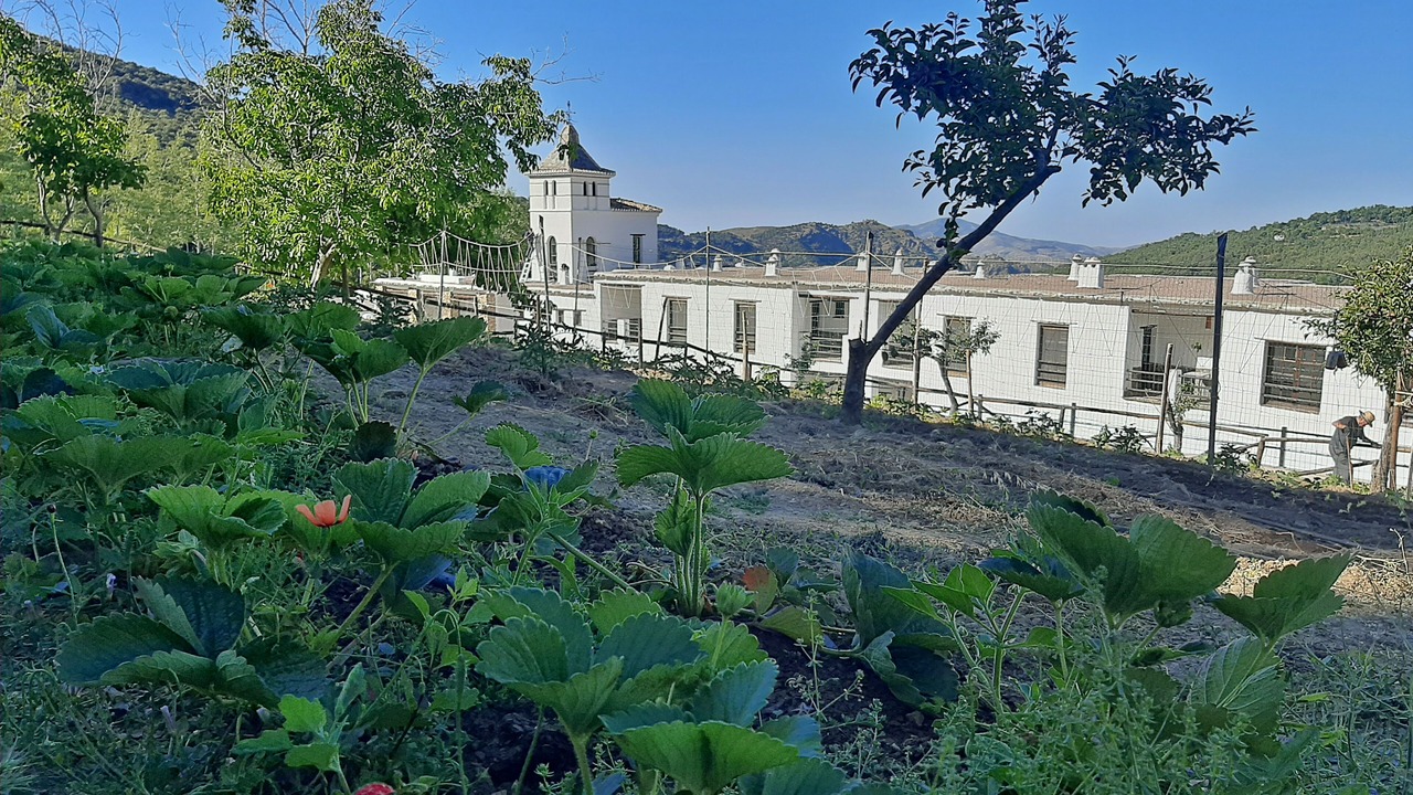 Photo of Outdoor in Busquistar