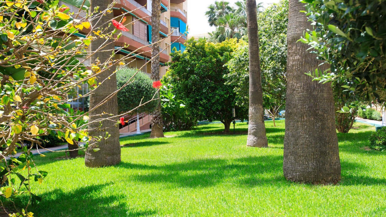 Photo of Outdoor in Almunecar