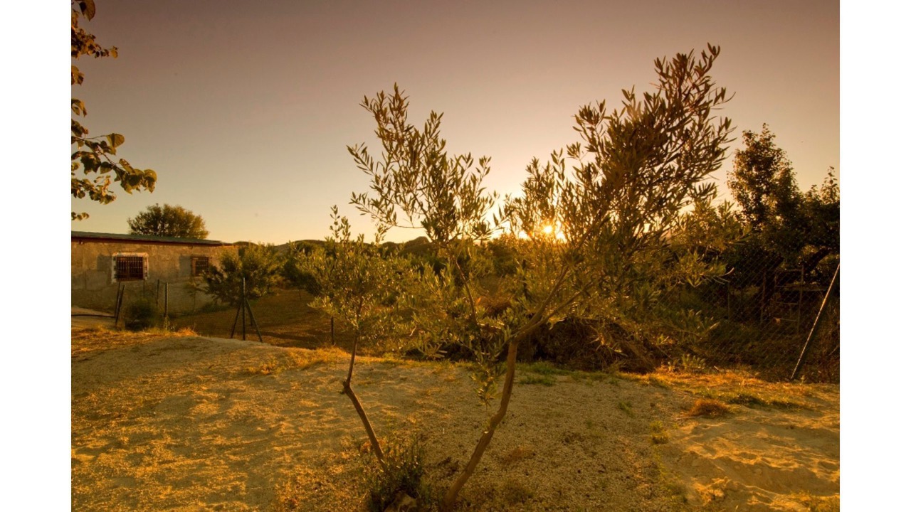 Photo of Outdoor in Cortes y Graena