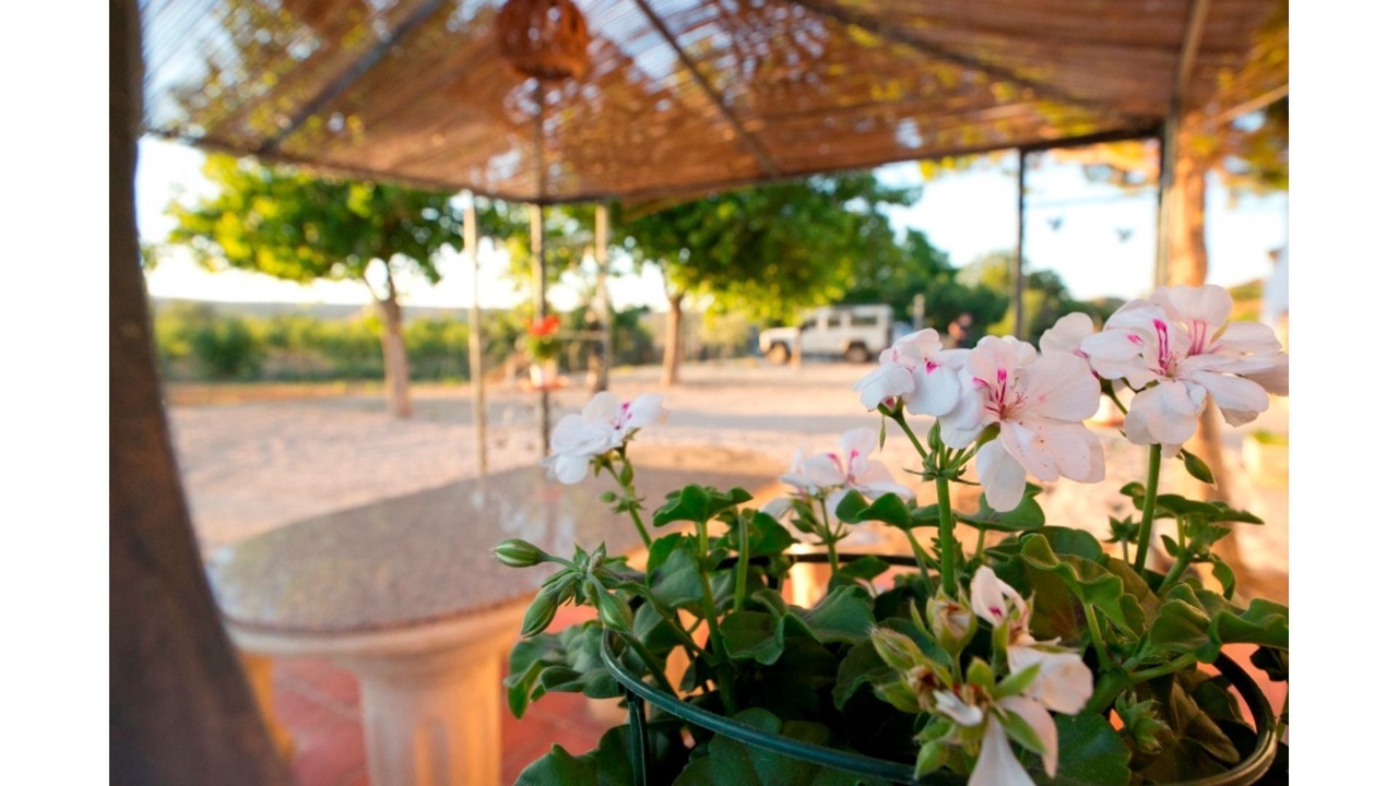 Photo of Outdoor in Cortes y Graena