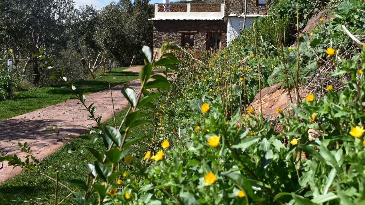 Photo of Others in Carataunas