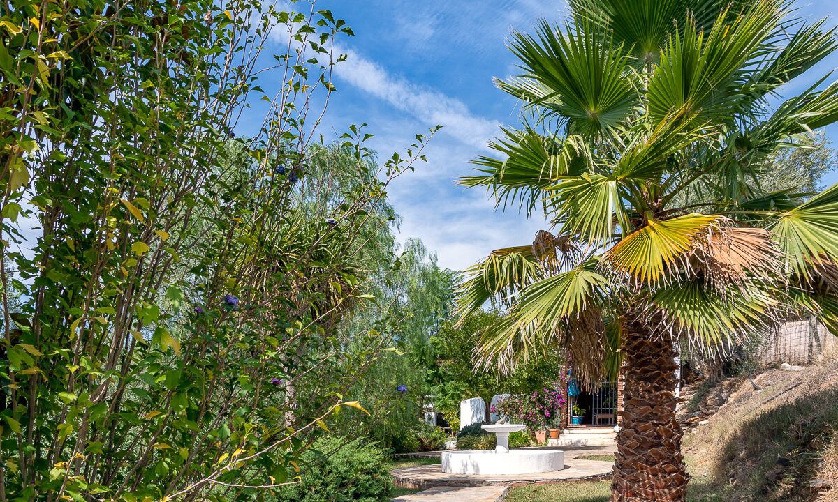 Photo of Outdoor in Orgiva