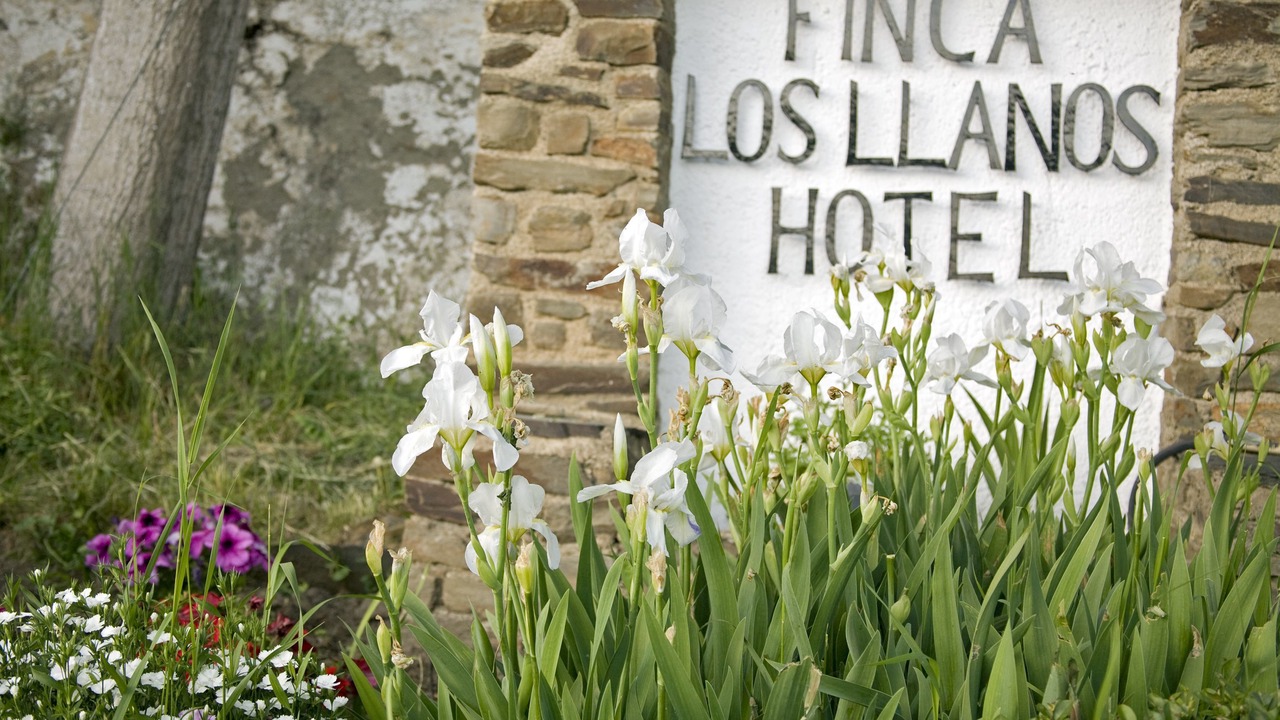 Photo of Outdoor in Capileira