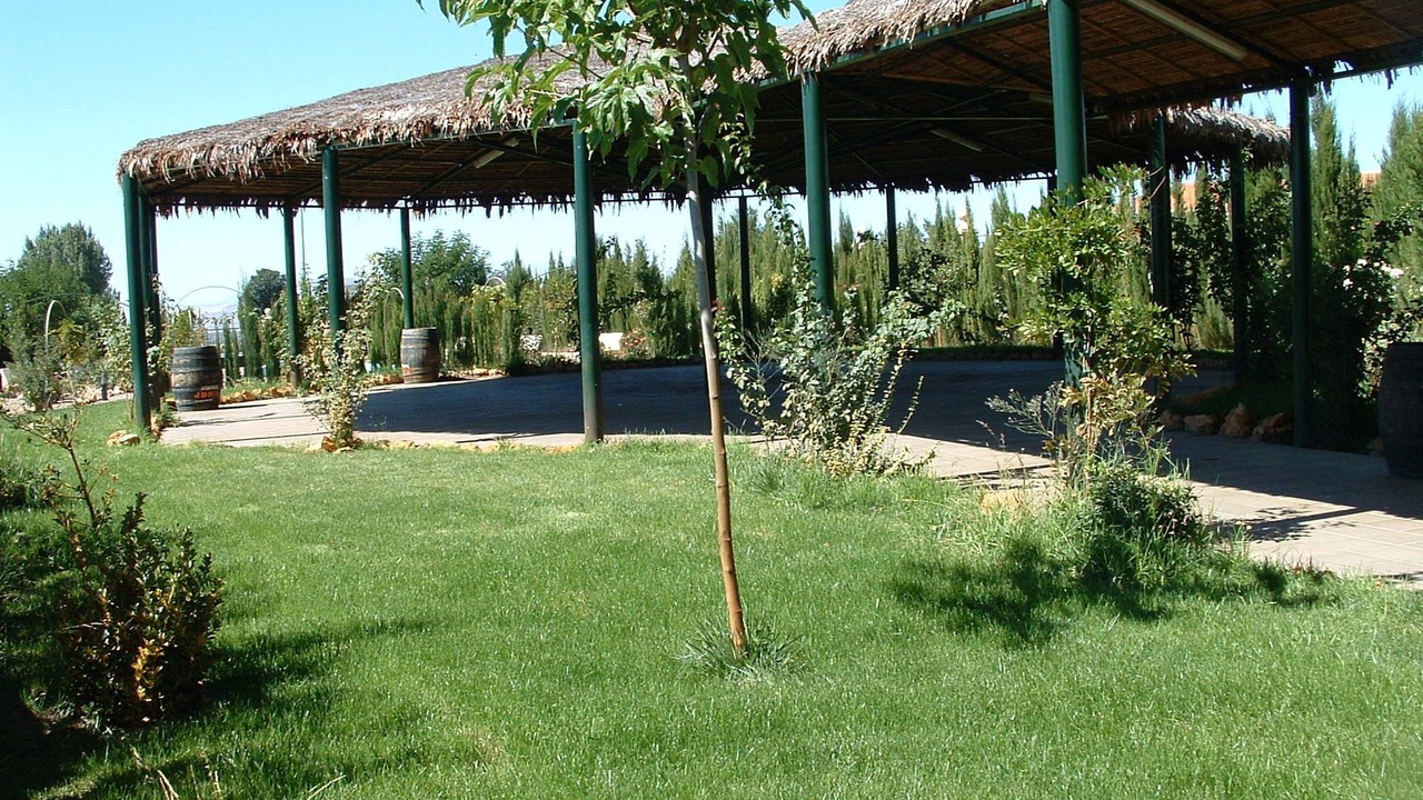 Photo of Outdoor in Gor