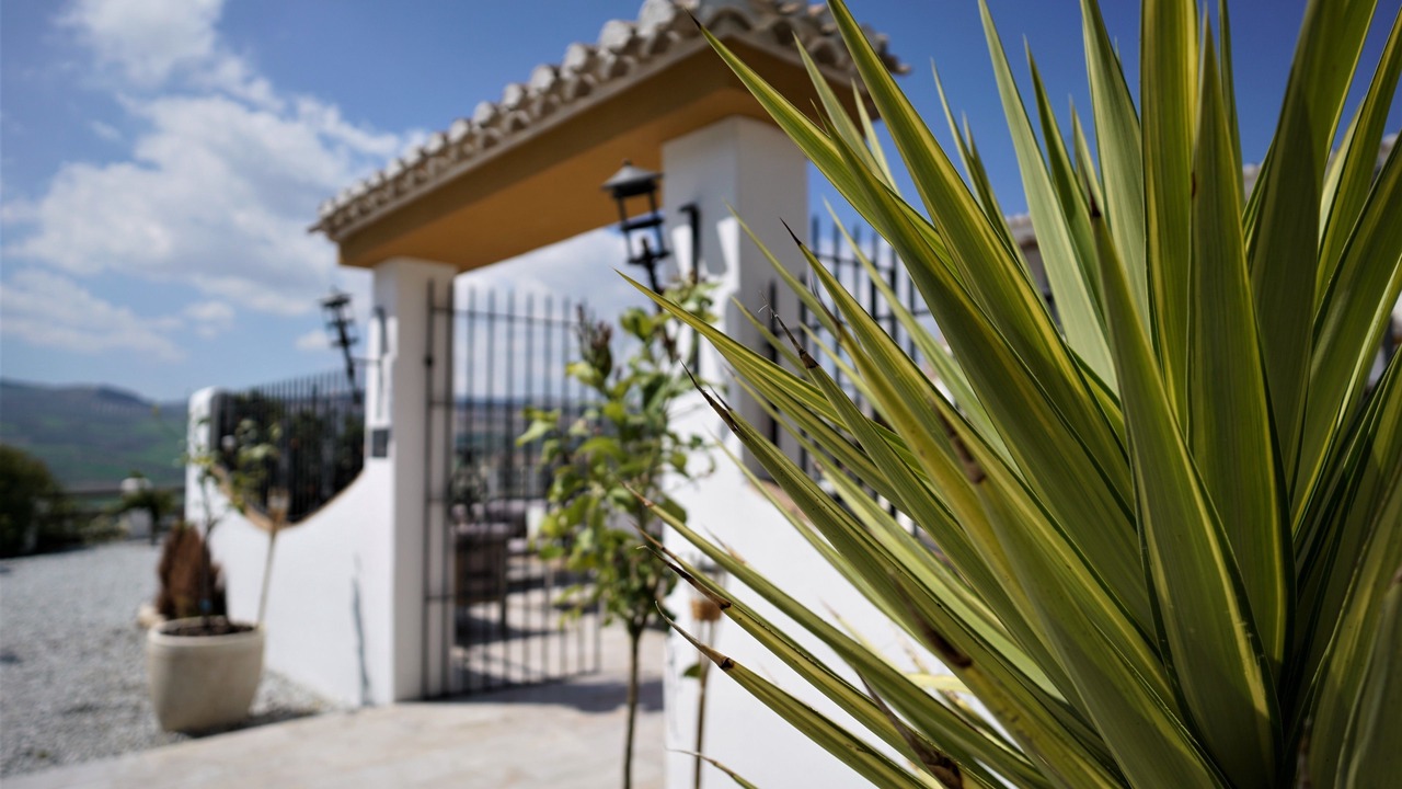 Photo of Outdoor in Santa Cruz del Comercio