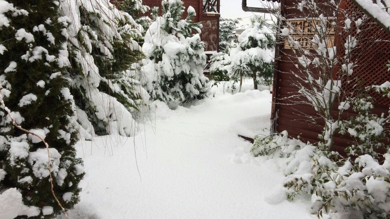 Photo of Outdoor in Agva