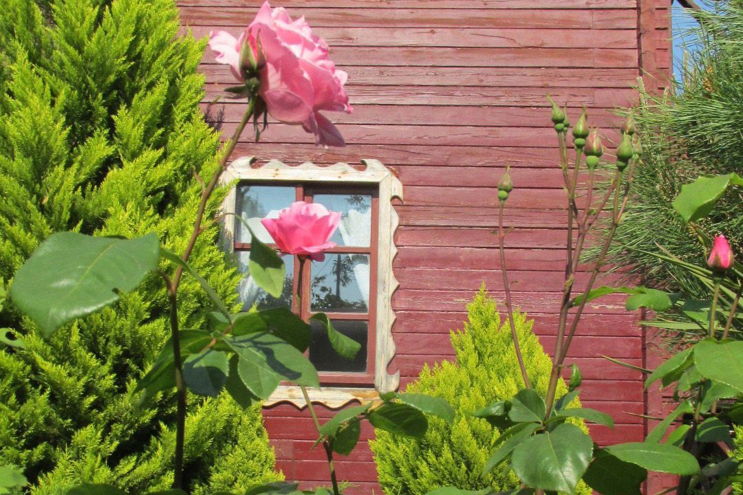Photo of Outdoor in Agva