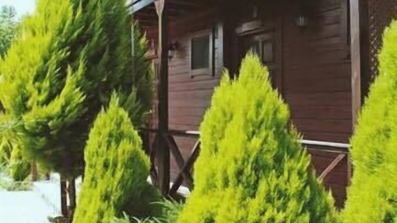 Photo of Outdoor in Agva